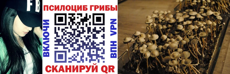 Псилоцибиновые грибы мухоморы  Галич 